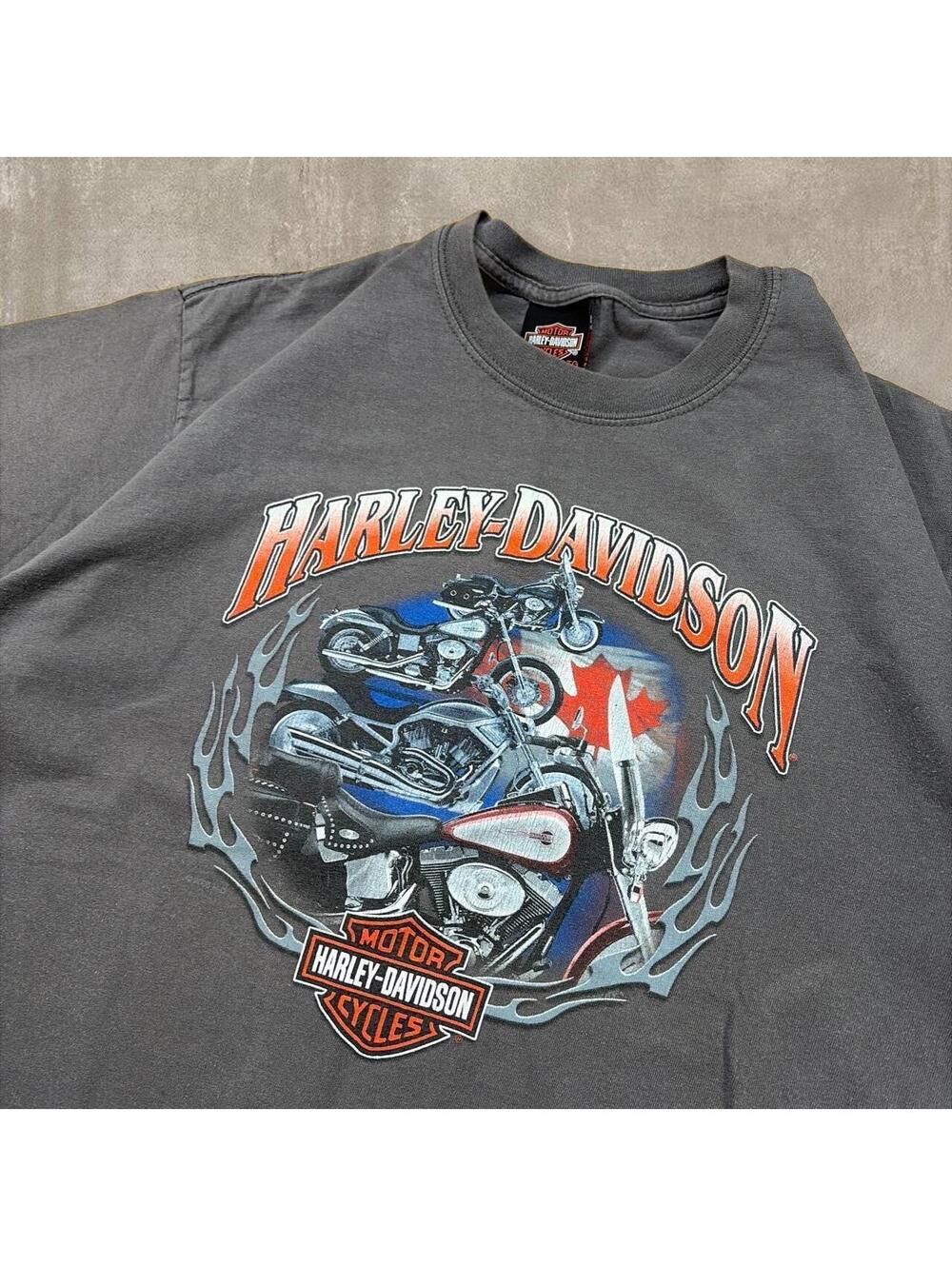 Harley Davidson Niagara Falls Canada Tee Grey XL Y2K Biker